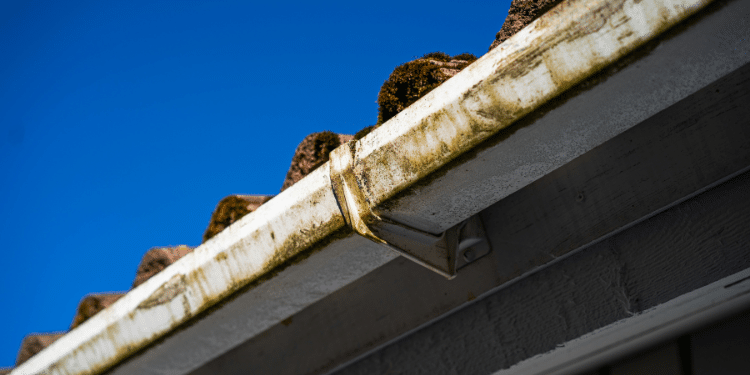 gutter cleaning